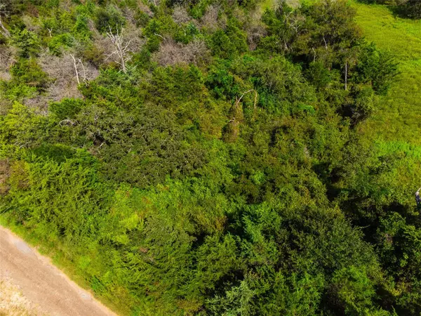 lot 92 Lois LN E, Somerville, TX 77879