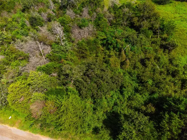 lot 92 Lois LN E, Somerville, TX 77879