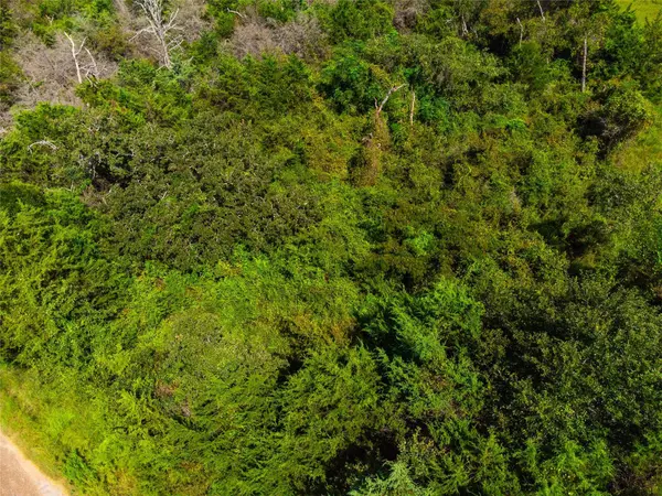 lot 92 Lois LN E, Somerville, TX 77879