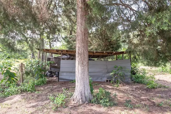 11790 Silver Springs RD, Rockdale, TX 76567