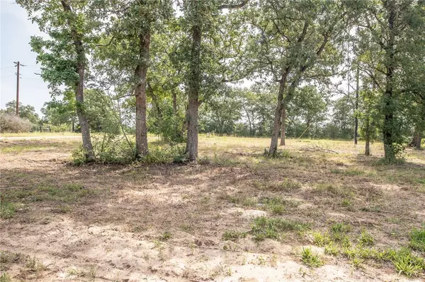 11790 Silver Springs RD, Rockdale, TX 76567