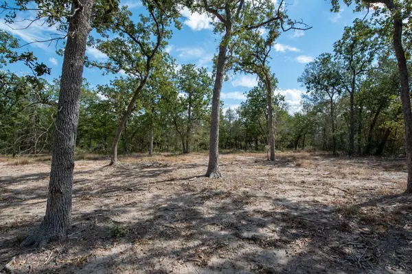 Lots 211 & 212 Forest Oak DR, Somerville, TX 77879