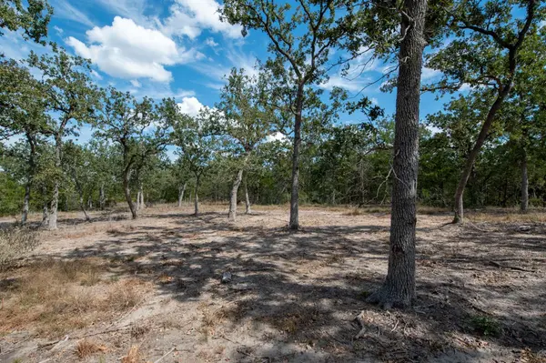 Lots 211 & 212 Forest Oak DR, Somerville, TX 77879