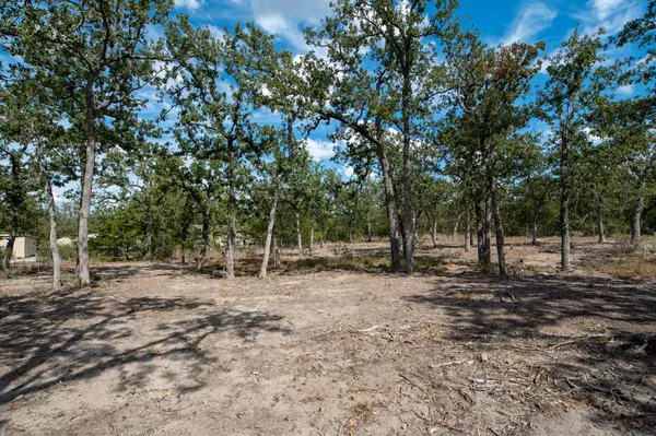 Lots 211 & 212 Forest Oak DR, Somerville, TX 77879