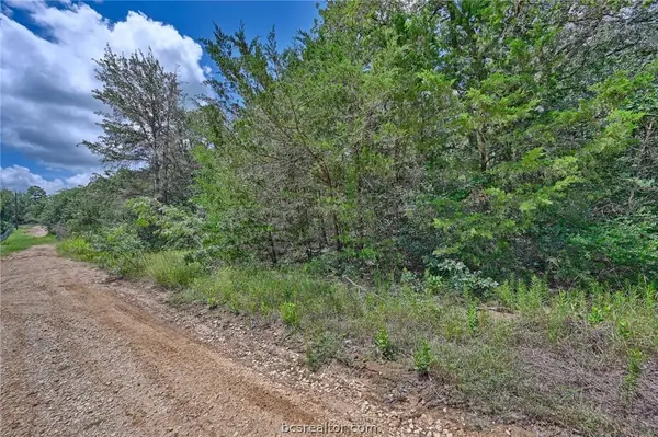 Lots 318, 319 & 320 Eagle Trail, Caldwell, TX 77836
