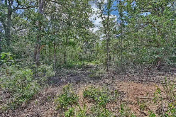 Lots 318, 319 & 320 Eagle Trail, Caldwell, TX 77836