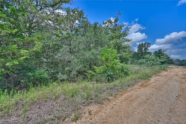 Lots 318, 319 & 320 Eagle Trail, Caldwell, TX 77836