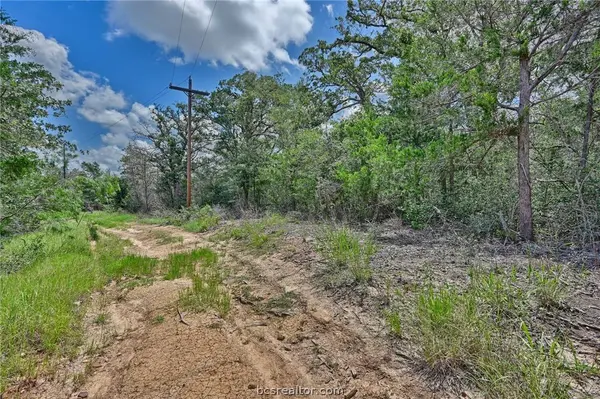 Lots 318, 319 & 320 Eagle Trail, Caldwell, TX 77836