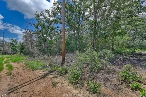 Lots 318, 319 & 320 Eagle Trail, Caldwell, TX 77836