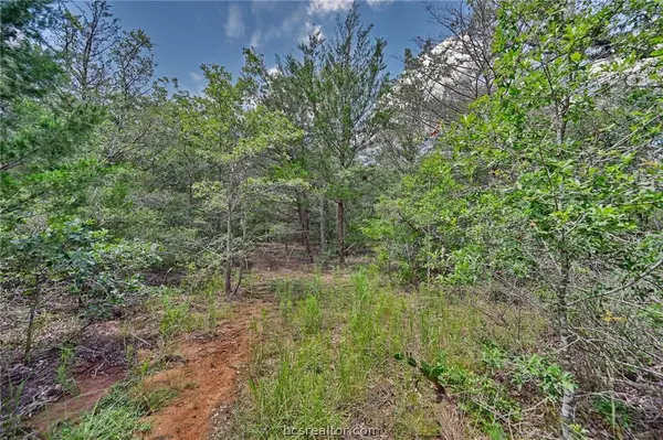 Lots 318, 319 & 320 Eagle Trail, Caldwell, TX 77836