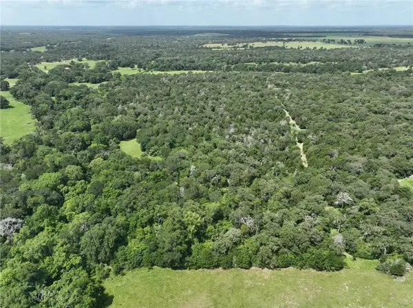 +- 15 Acres County Road 333, Caldwell, TX 77836