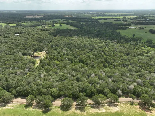+-15 Acres County Road 333, Caldwell, TX 77836