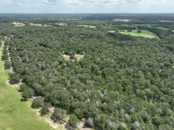 +-15 Acres County Road 333, Caldwell, TX 77836