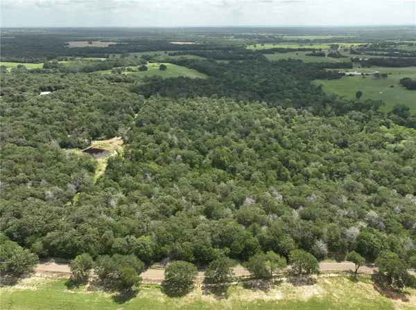 +- 15 Acres County Road 333, Caldwell, TX 77836