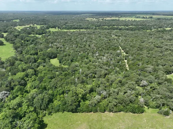 +-15 Acres County Road 333, Caldwell, TX 77836