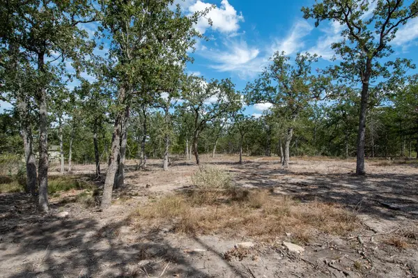 Lots 211 & 212 Forest Oak DR, Somerville, TX 77879