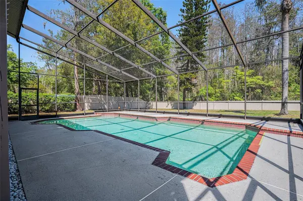 16405 ASHWOOD DR, Tampa, FL 33624