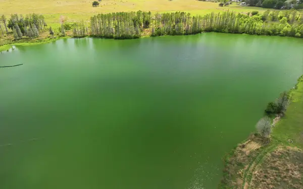 TBD TIMBERS DR, Other, FL 33841