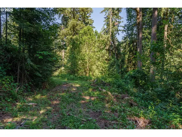 000 NE Johnson RD, La Center, WA 98629