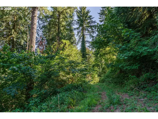 000 NE Johnson RD, La Center, WA 98629