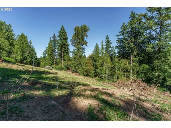 000 NE Johnson RD, La Center, WA 98629