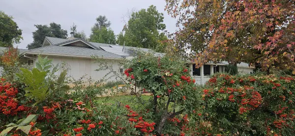 4733 Fiddleneck DR, Redding, CA 96002