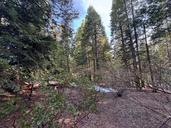 19 Rock Shelf LN, Shaver Lake, CA 93664