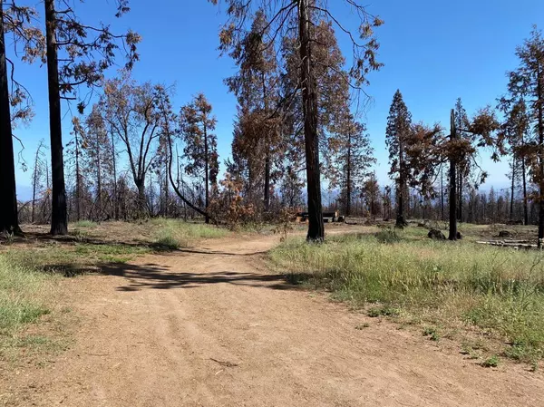 38283 Upper Cressman RD, Shaver Lake, CA 93664