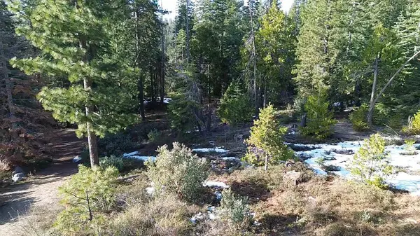 40672 Leopard Lilly LN, Shaver Lake, CA 93664