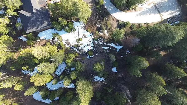 40672 Leopard Lilly LN, Shaver Lake, CA 93664