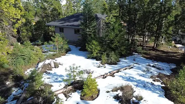 40672 Leopard Lilly LN, Shaver Lake, CA 93664