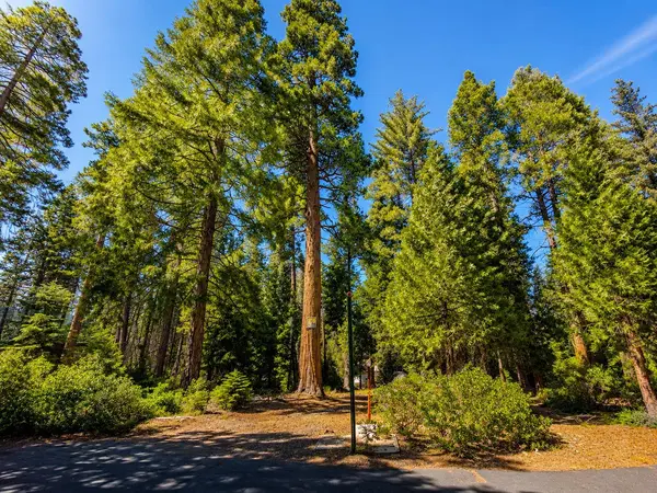 42185 Smoke Tree LN, Shaver Lake, CA 93664