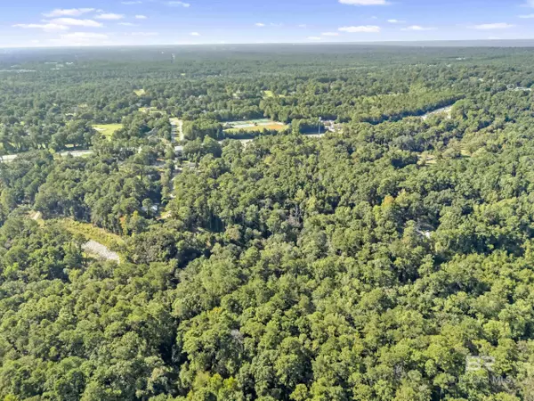 31215 Wilson Road, Spanish Fort, AL 36527