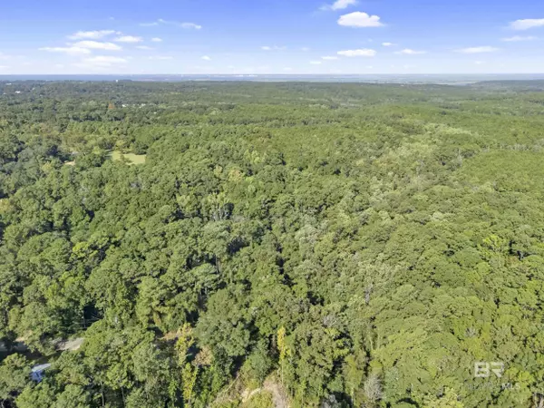 31215 Wilson Road, Spanish Fort, AL 36527