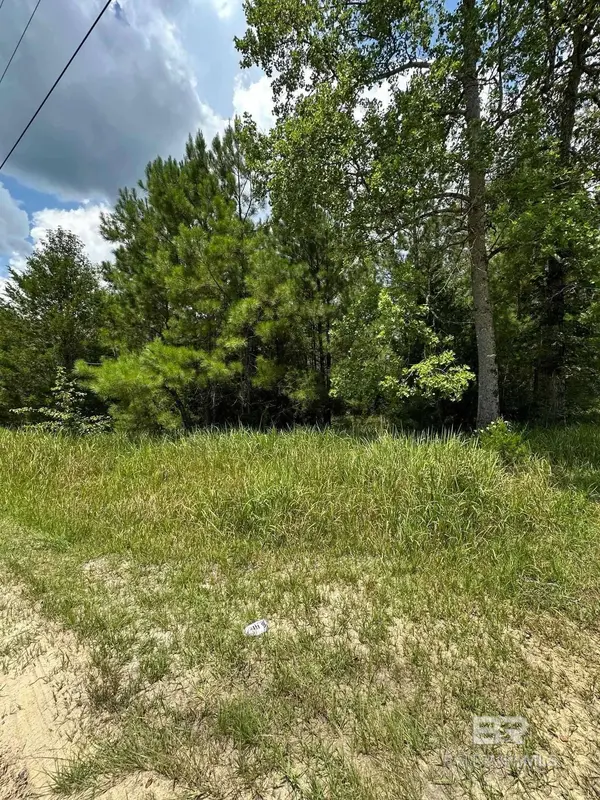 10385 ARMY RD Extension, Chunchula, AL 36521