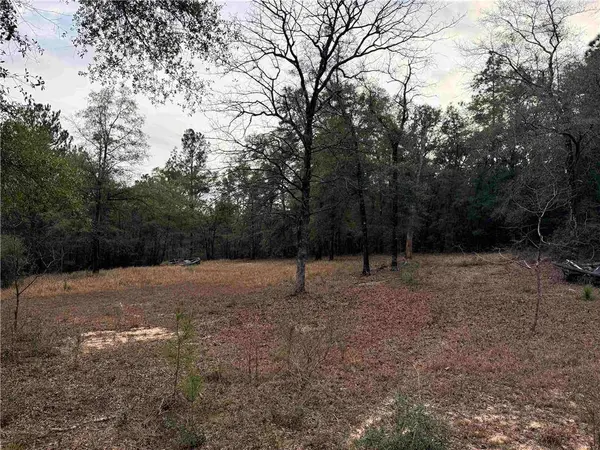9325 Georgetown Hills RD, Wilmer, AL 36587
