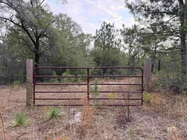 9325 N GEORGETOWN HILLS Road, Wilmer, AL 36587