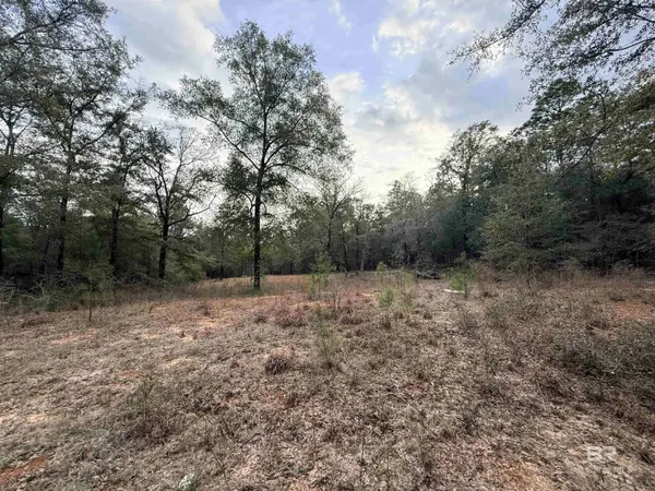 9325 N GEORGETOWN HILLS Road, Wilmer, AL 36587