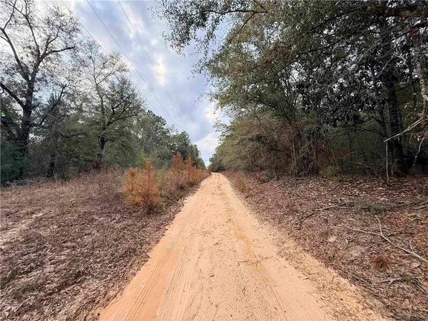 9325 Georgetown Hills RD, Wilmer, AL 36587