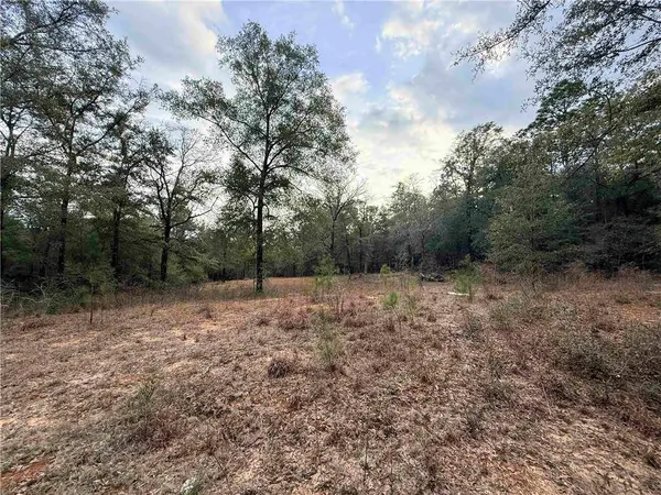 9325 Georgetown Hills RD, Wilmer, AL 36587