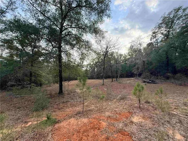 9325 Georgetown Hills RD, Wilmer, AL 36587