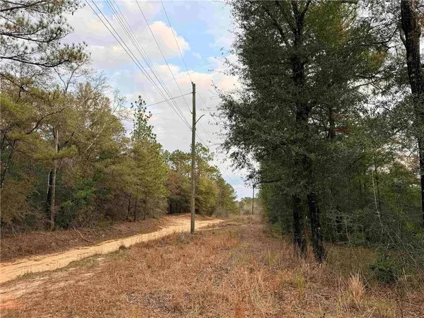 9325 Georgetown Hills RD, Wilmer, AL 36587
