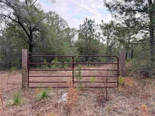 9325 Georgetown Hills RD, Wilmer, AL 36587