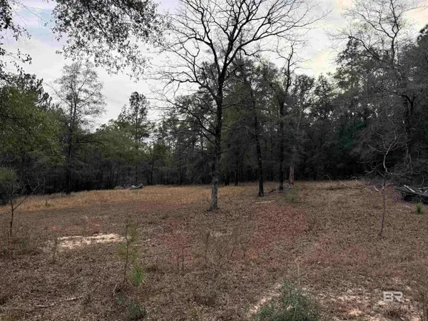 9325 N GEORGETOWN HILLS Road, Wilmer, AL 36587
