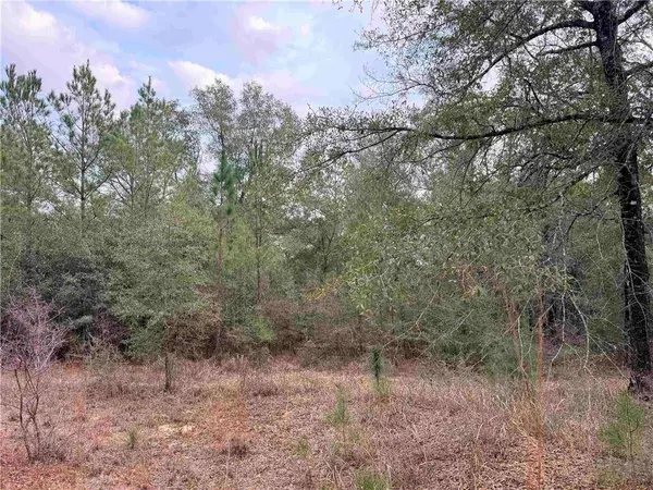 9325 Georgetown Hills RD, Wilmer, AL 36587