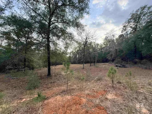 9325 N GEORGETOWN HILLS Road, Wilmer, AL 36587