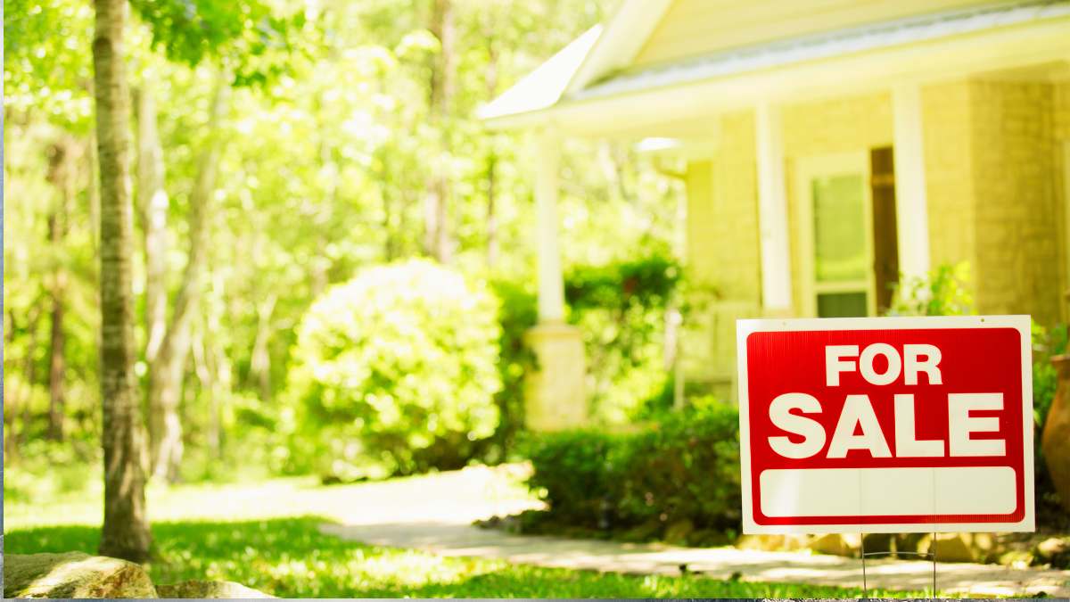 Homes for sale and comparable properties