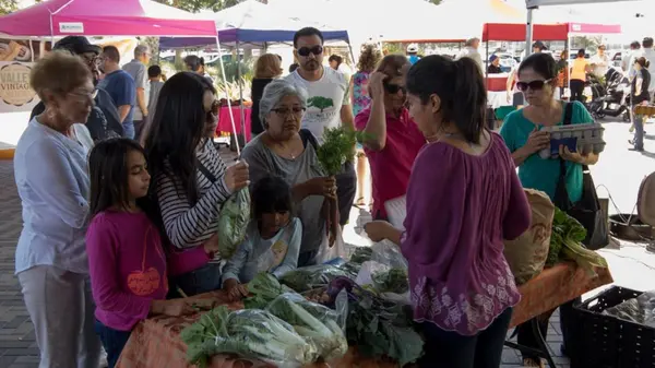 Best Coffee Shops, Parks & Local Spots in McAllen TX and the Rio Grande Valley (2026 Local Guide)