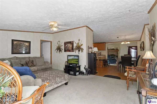 14 Trailwoods Dr, Leitchfield, KY 42754