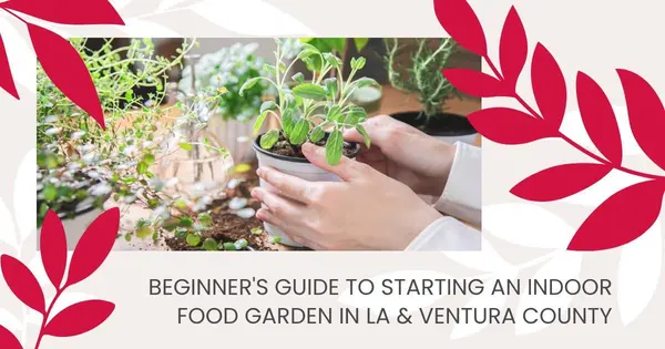 Beginner's Guide to Starting an Indoor Food Garden in LA & Ventura County,Robin Aimaq